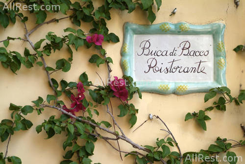 Buca di Bacco 48